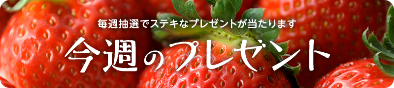 毎週抽選でステキなプレゼントが当たります「今週のプレゼント」