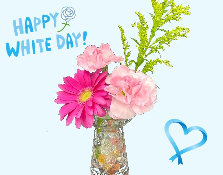 ホワイトデー・春のお彼岸には「かごしまの花」を！～花のある暮らし～