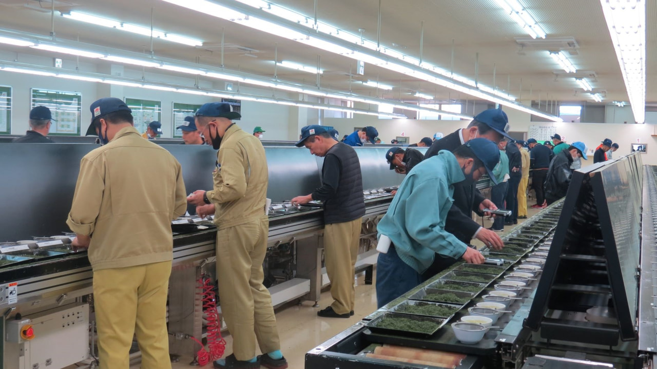 「令和3年産 新茶初取引会」開催