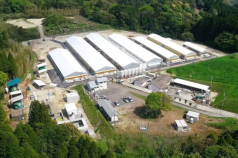 加治木原種豚センター建設工事落成式挙行