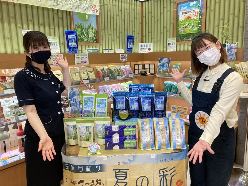 水出し冷茶