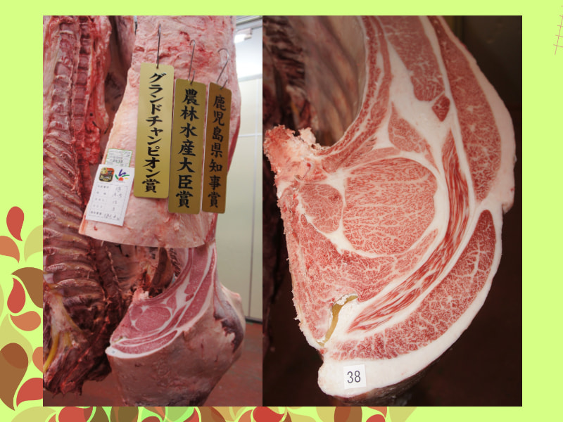 令和3年度鹿児島県肉牛枝肉共進会」開催 - JA鹿児島県経済連