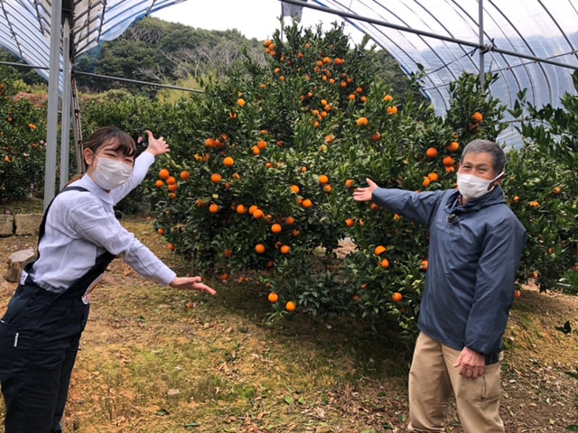 たんかん