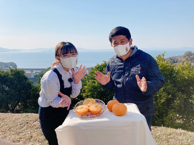 紅甘夏