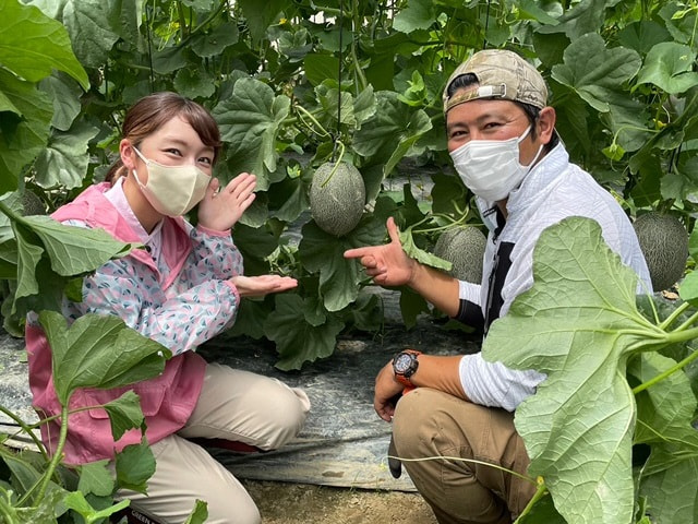 メロン