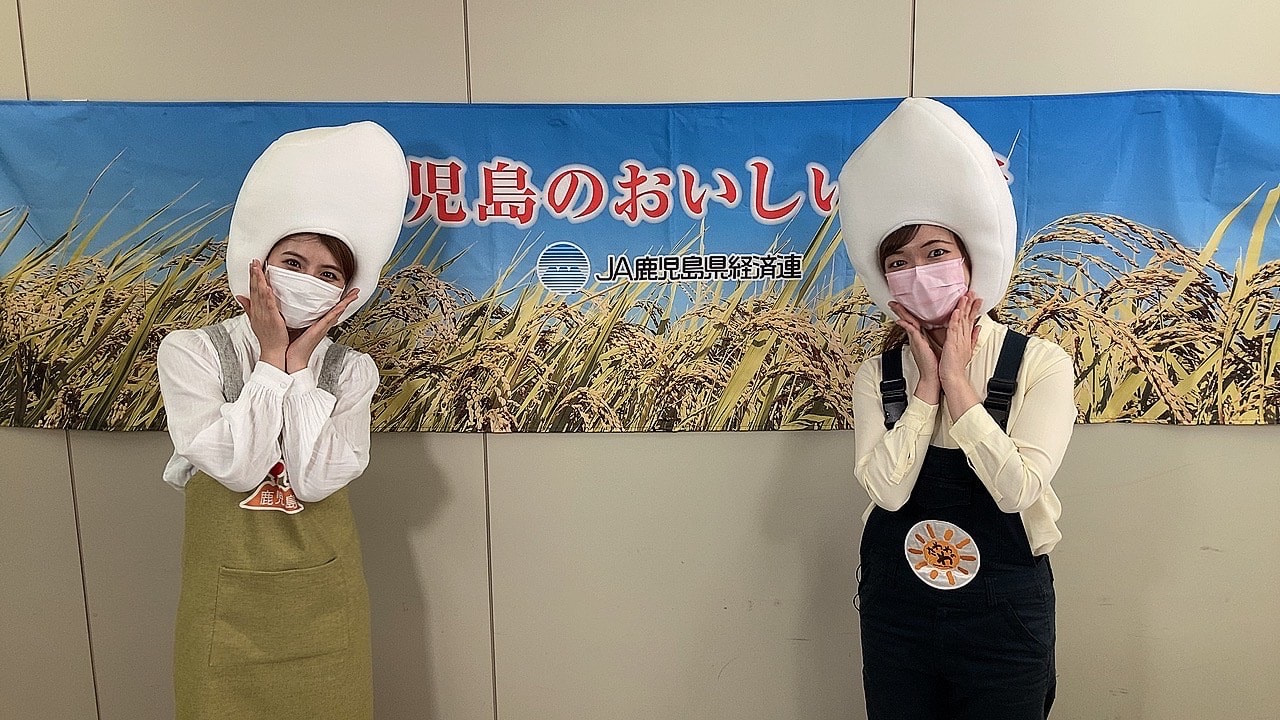 夏の新米キャンペーン