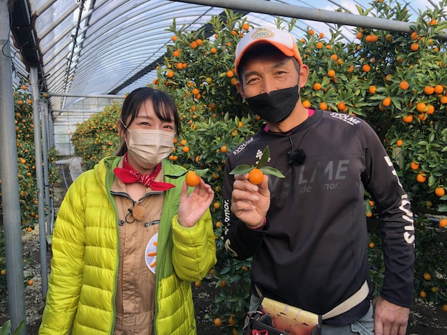 『たわわのわ』1月２２日（日）１１：４０〜放送テーマは「きんかん」