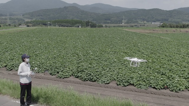 センシングドローンとＧＰＳレベラーのシェアリングによるさつまいも産地における基腐病軽減技術の実証