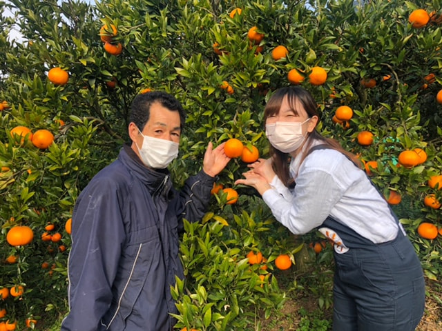 たんかん