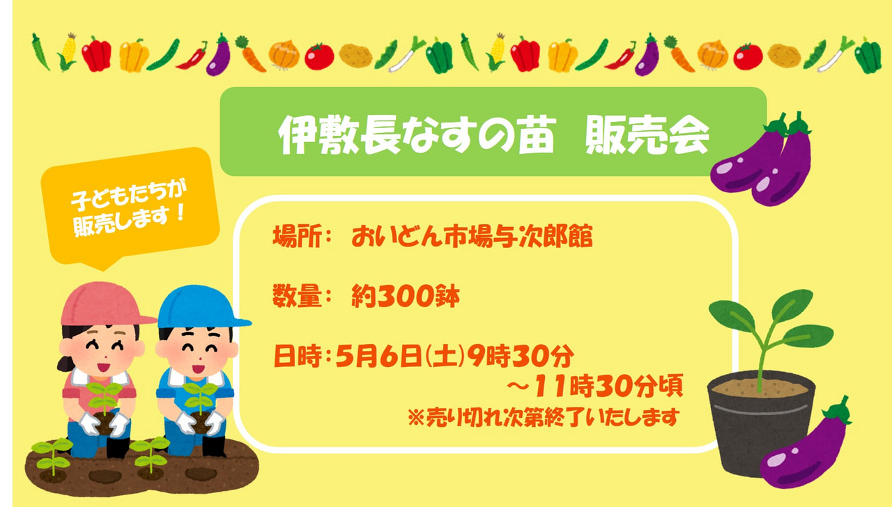 【５月６日（土）】伝統野菜「伊敷長なすの苗」　小学生による販売会初開催！