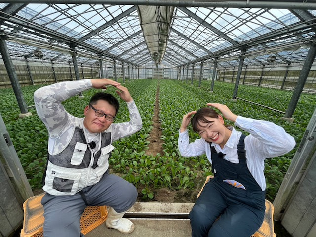 軟弱野菜
