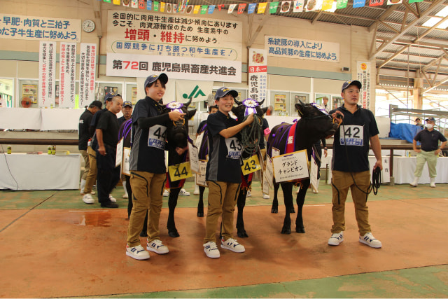 「令和５年度　第７２回鹿児島県畜産共進会」開催