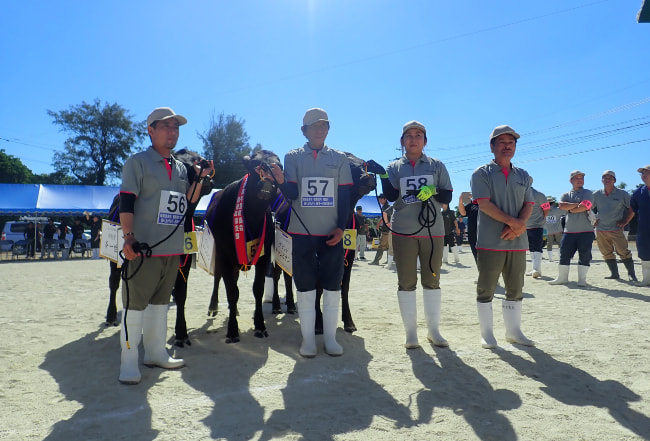 「第１９回大島地区肉用牛振興大会」開催