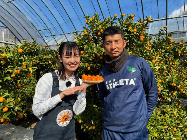 きんかん