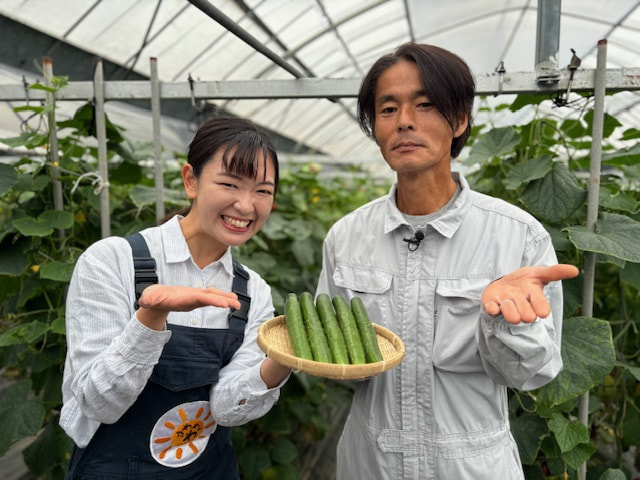 きゅうり