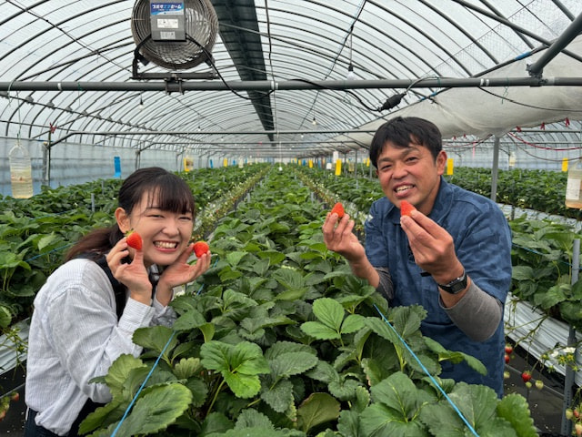 『たわわのわ』２月２５日（日）１１：４０〜放送テーマは「いちご」
