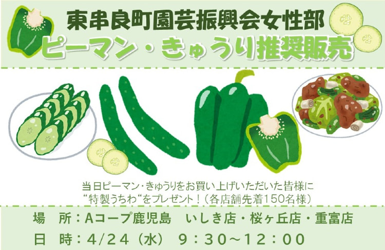 【４月２４日（水）】東串良町園芸振興会女性部　ピーマン・きゅうり推奨販売