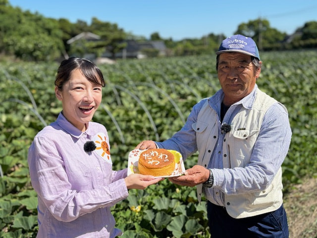 かぼちゃ