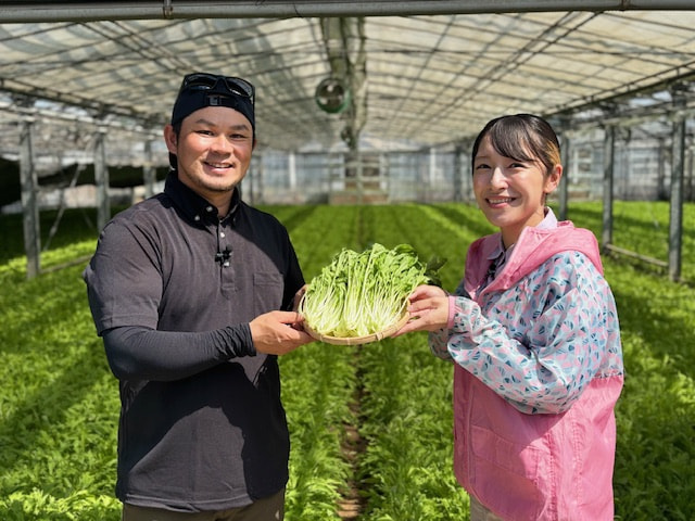 『たわわのわ』９月２２日（日）11：４０〜放送テーマは「水菜」