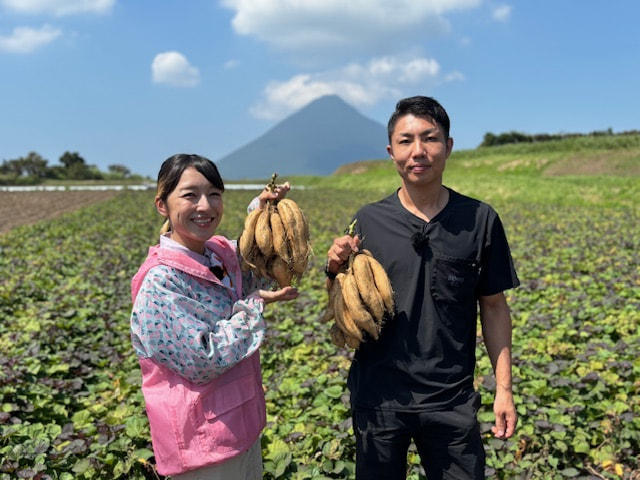 さつまいも