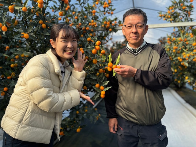 『たわわのわ』1月１９日（日）11：４０〜放送テーマは「きんかん」