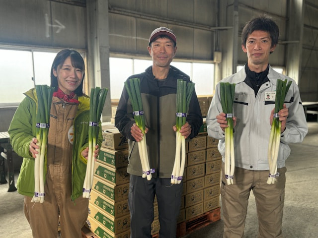 白ねぎ