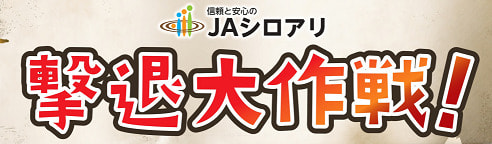 【４月１日（火）～８月３１日（日）】『JAシロアリ撃退大作戦！』開催