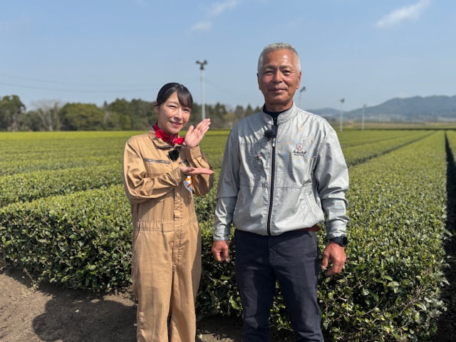 お茶