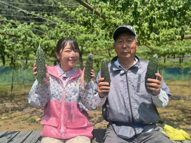 ゴーヤー