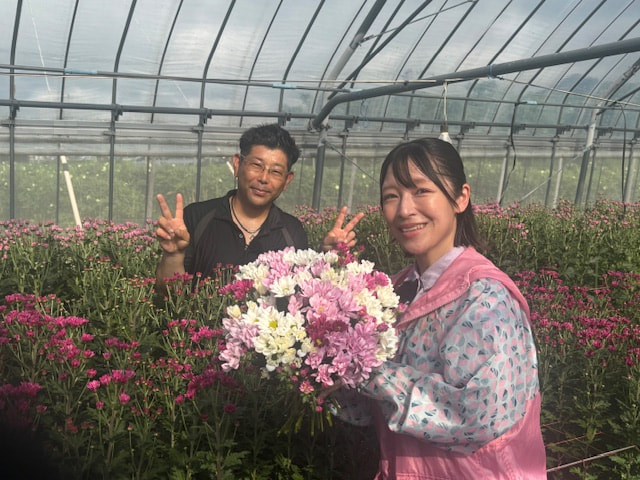 スプレー菊