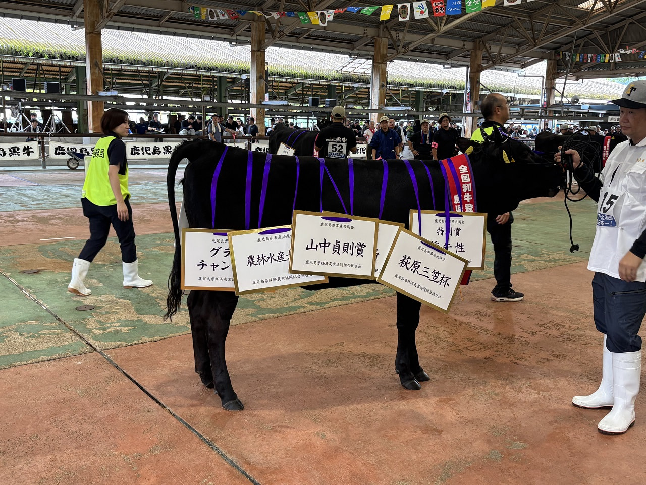 「令和７年度　第７４回鹿児島県畜産共進会」開催
