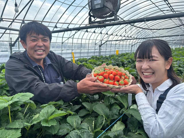 『たわわのわ』２月１５日（日）１１：４０〜放送テーマは「いちご」