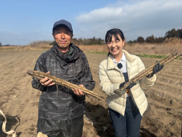 『たわわのわ』２月２２日（日）１１：４０〜放送テーマは「ごぼう」