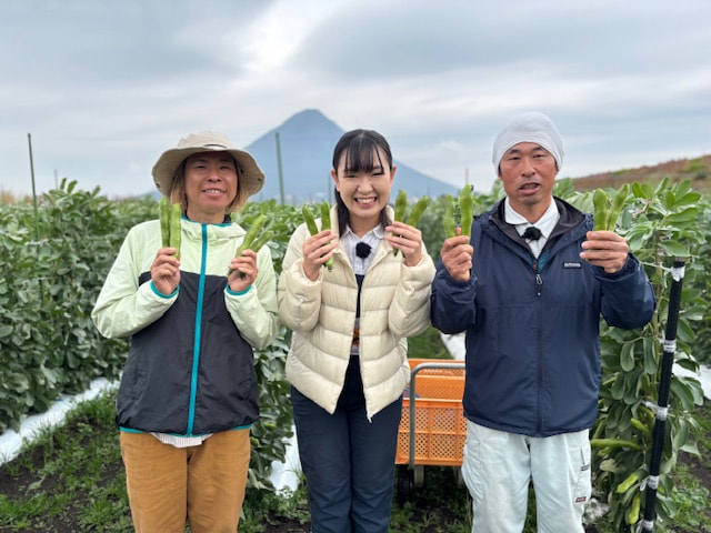 そらまめ