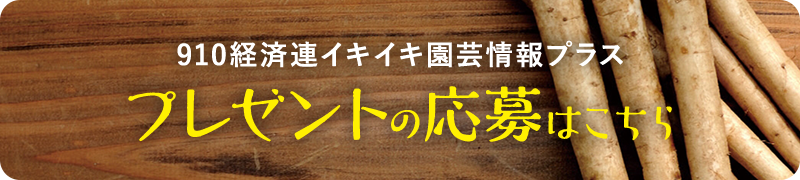 910経済連イキイキ園芸情報プラス　プレゼントの応募はこちら