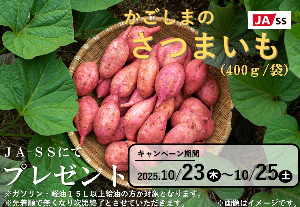 10月23日（木）～10月25日（土）】『さつまいも』プレゼント