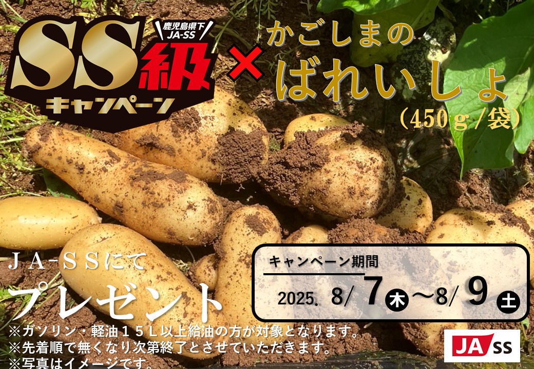 【igesan】鹿児島県産 ささげ豆【令和7年11月収穫】3キロ 令和7年産】乾燥 大豆「秘伝豆」 3kg（12袋） 山形県河北町産【JAさが